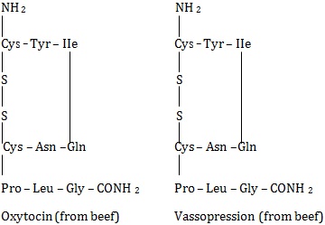 Oxtocin and vasopressin
